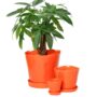 product-232066-1777389749-CHI04-0000613^3